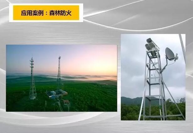 ?�Ϸ��Ķ������������ɭ�ֻ���һ�ٱ���������̽�ֹ��