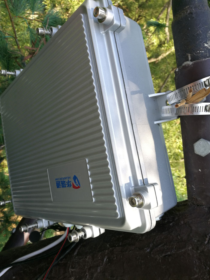 ?�������ֶ෢��ɭ�ֲ�ԭ�����ؽ���Ҫ����