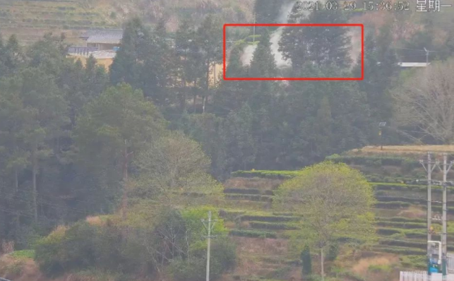 ?ɭ�ַ�����Ƶ��ؽ���ƻ��⼸��Ч������ʶ�˼�����